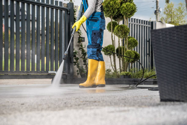 Best Sidewalk and Walkway Cleaning  in Clare, MI